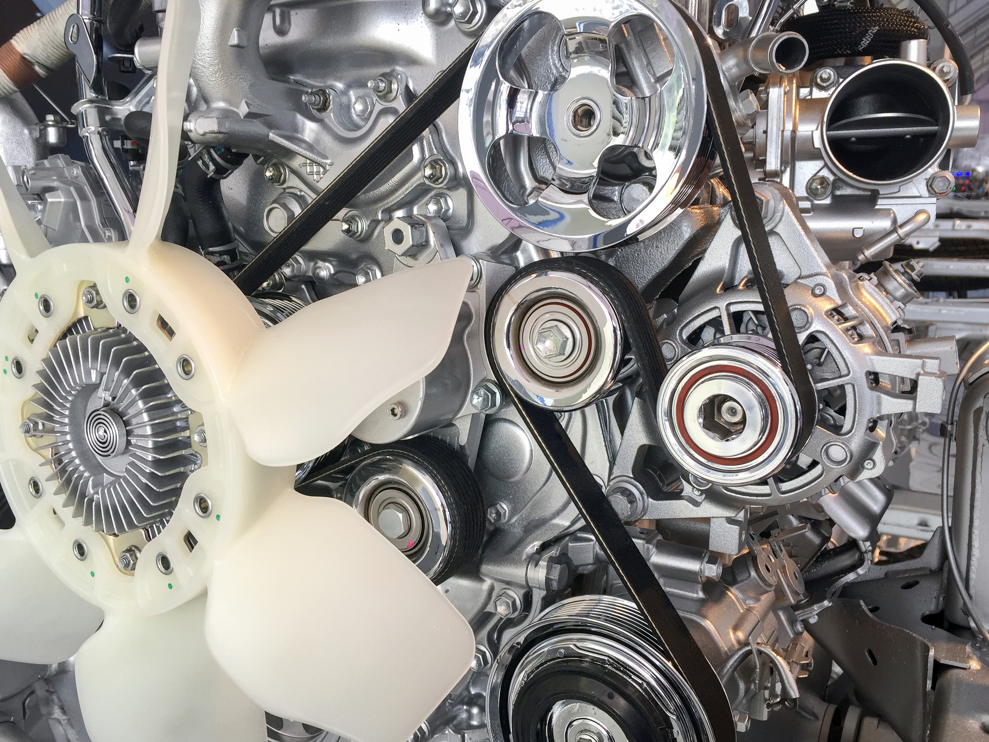 Serpentine Belt Replacement Cost - Current Prices - My Car Makes Noise