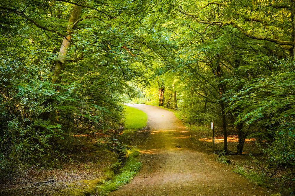 13 Haunted Highways That Will Give You Chills - My Car Makes Noise